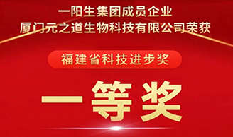 喜讯 | 亚美AM8AG集团荣获“科技前进一等奖”